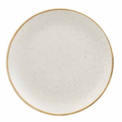 Picture of Churchill Stonecast Coupe Plate 10.25" Barley White (Case Of 12)