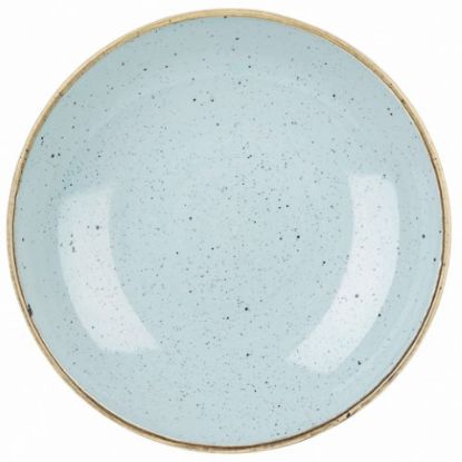 Picture of Churchill  Stonecast Duck Egg Blue Coupe Bowl 9.75" 40oz (Case Of 12)