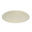 Picture of Bagasse Plate 9" (Pack Of 125)