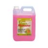 Picture of Carefree Floor Maintainer 5ltr (2)