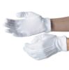 Picture of Waiting Gloves Elastic Cuff Lrg White (Single Pair)