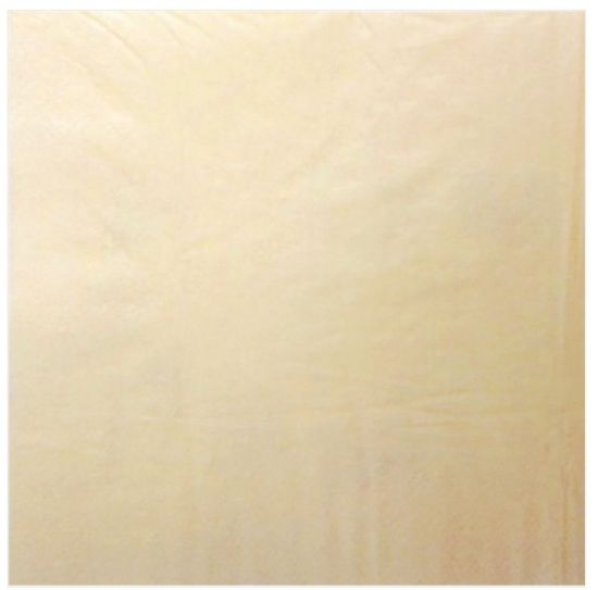 Picture of Napkin Dinner 40cm Champagne 2 Ply (Pack of 125)