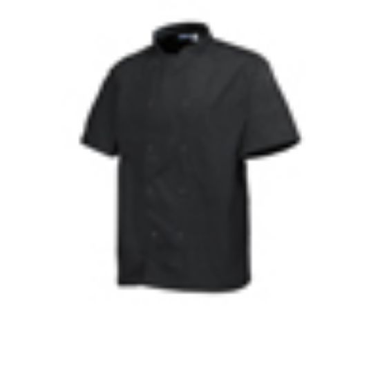 Picture of Basic Stud Jacket (Short Sleeve) Black S Size