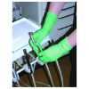 Picture of Aloe Vera Vinyl Exam Gloves Powder Free Green Medium (100)