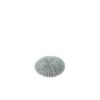Picture of Biological Urinal Cap (Case of 12)