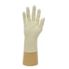 Picture of Jangro Professional Latex Natural Gloves Powder Free Small (Pack of 100)