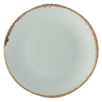 Picture of Seasons Stone Coupe Plate 12" (Case Of 6)
