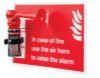 Picture of Jangro Airhorn Shadow Board Complete With Horn And Fixings 250mm X 350mm