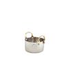 Picture of Cif Professional Wood Floor Cleaner 5l (2)