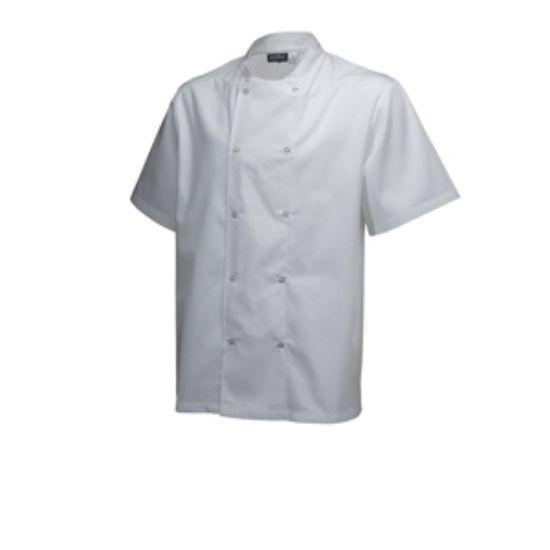 Picture of Basic Stud Jacket (Short Sleeve) White XS Size