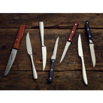 Picture of Steak Knives Sample Set