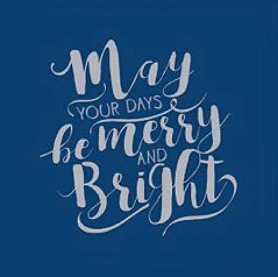 Picture of Navy And Silver Print 2ply Napkin 40x40cm (1000)