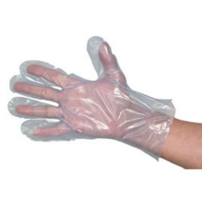 Picture of Polythene Gloves Smooth Blue Large