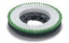 Picture of Numatic 330mm Polyscrub  Brush (Tta-25b /Tta-83)