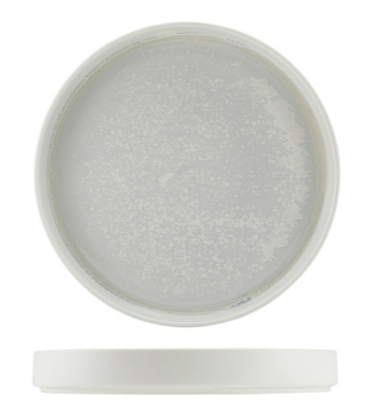 Picture of Incise Porcelain Lustre Presentation Plate 25cm (Case of 6)